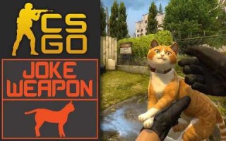 csgo有躲猫猫模式吗，csgo还有躲猫猫模式嘛？