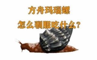 方舟生存进化玛瑙螺吃什么，方舟生存进化玛瑙螺吃什么蔬菜？