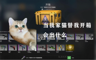 csgo躲猫猫模式叫什么？csgo躲猫猫模式叫什么游戏？