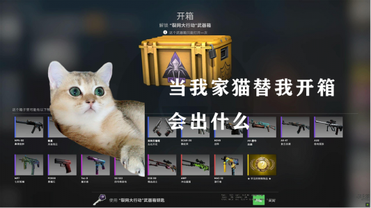 csgo躲猫猫模式叫什么？csgo躲猫猫模式叫什么游戏？-第1张图片