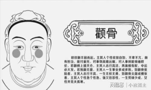 怪物猎人世界上龙骨怎么获得-第4张图片