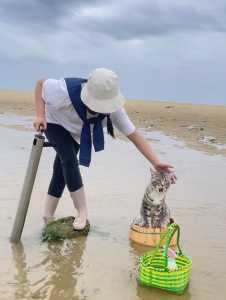 赶海躲猫猫游戏攻略(赶山赶海开饭店游戏攻略？)-第3张图片