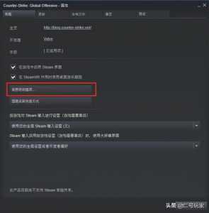 csgo启动选项输入什么？csgo启动选项输入什么命令？-第5张图片