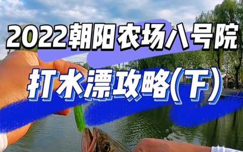 任天堂鲈鱼游戏攻略(switch按键功能详解？)-第1张图片