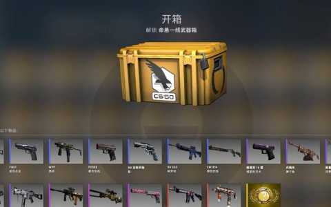 csgo迈阿密风云多少钱？csgo迈阿密风云吃磨损吗？-第3张图片