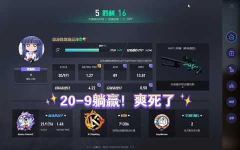 csgo段位已隐藏是怎么回事？csgo段位被隐藏后出来会掉吗？-第2张图片