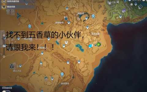 原神无相之草在哪里，原神无相之草在哪里找到-第3张图片