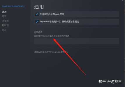 csgo启动项怎么设置，csgo启动项怎么设置不卡？-第2张图片