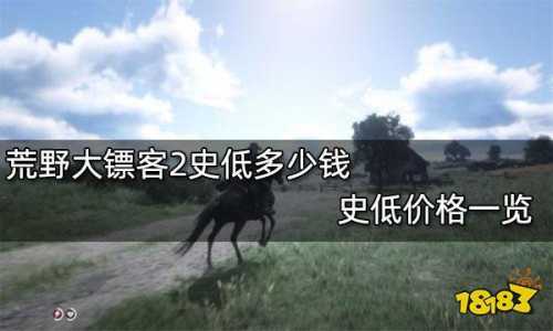 荒野大镖客游戏多少钱，荒野大镖客2166元-第3张图片