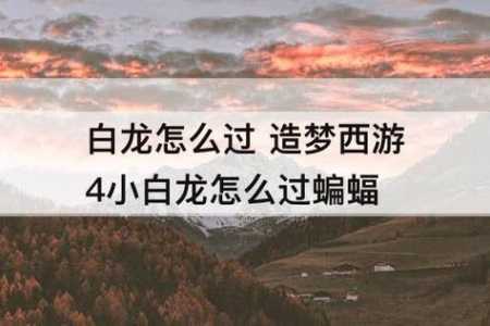 造梦西游四白龙技能加点，造梦西游四白龙技能加点觉醒？-第4张图片