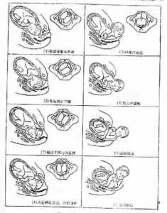 三国志10结婚有什么好处？三国志10结婚剧情触发？-第1张图片