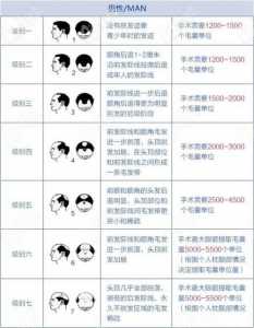 微针植发一根多少钱，微针植发要多少钱-第2张图片